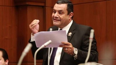 أكمل نجاتي: كتاب التنسيقية أكد أنها انتصرت للمواطن المصري