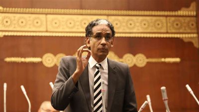 طارق تهامي يطالب بتوفير مصادر بديلة للقمح الروسي والأوكراني