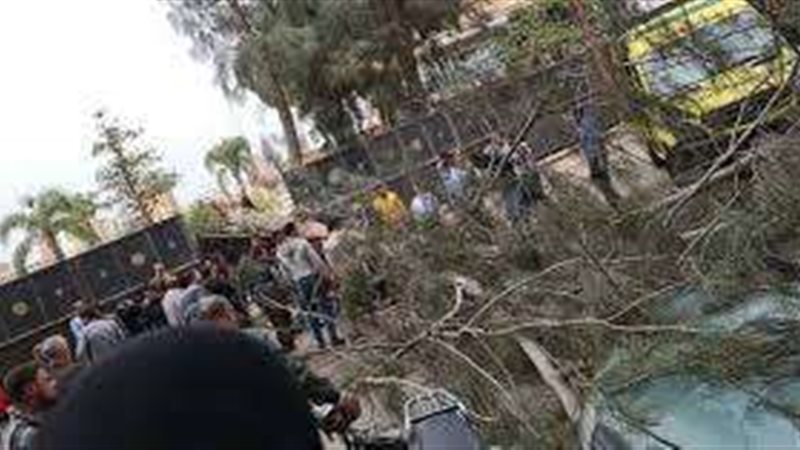صورة أرشيفية