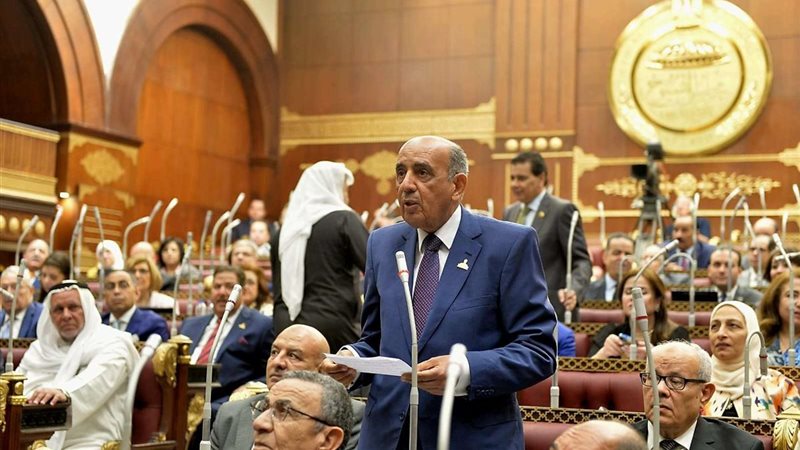 المستشار محمد محمود