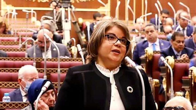 النائبة فيبي فوزي