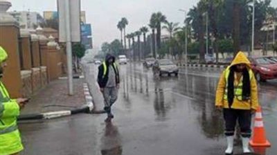 الهيئة العامة لميناء الإسكندرية تشهد نشاطا ملحوظا في حركة الملاحة