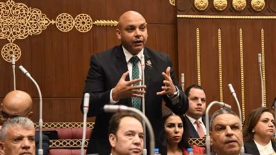 عضو التنسيقية: صلابة الحكومة ضد محاولات توجيه الاقتصاد المصري يؤكد قوة قياداتنا السياسية