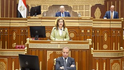 بوجود وزيرتي التخطيط والتعاون.. أهم ما جاء بجلسة الشيوخ اليوم