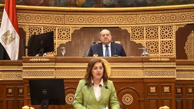 وزيرة التخطيط لـ