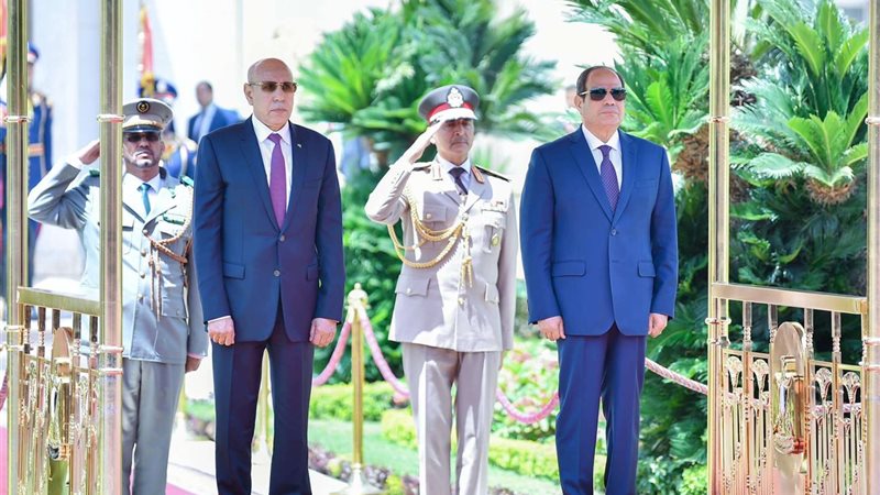 الإستقبال