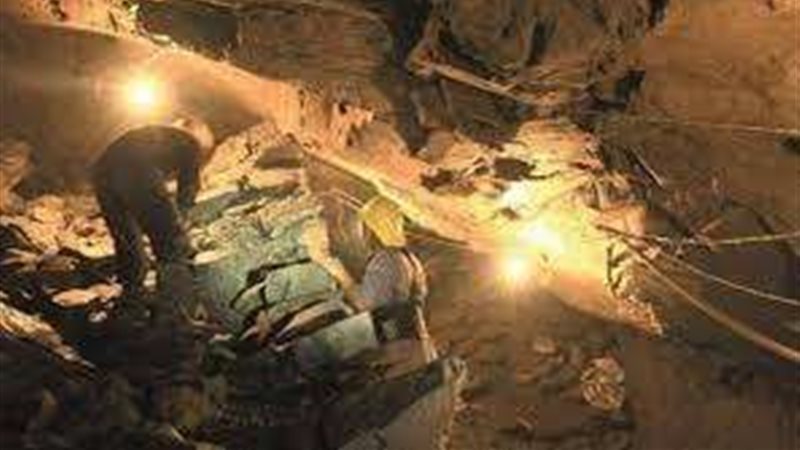مصرع 12 شخصًا إثر