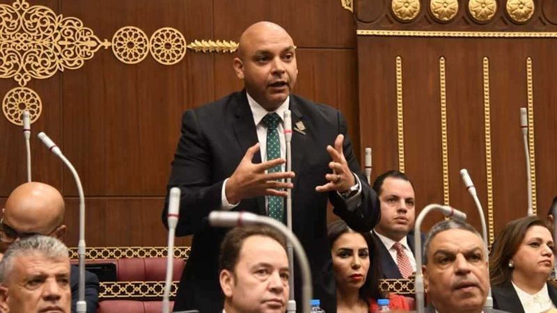 النائب محمود القط