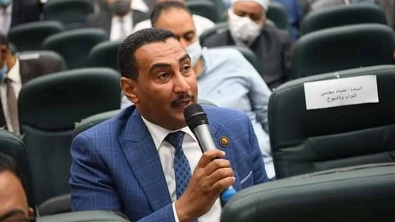 النائب محمد الجبلاوي