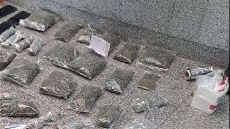حشيش