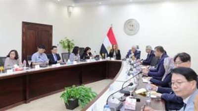 وزير التعليم العالى يبحث التعاون مع المعهد الكورى للعلوم والتكنولوجيا