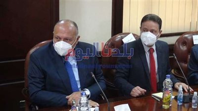 وزير الخارجية: من الضروري أن يكون هناك تفاعل كامل بين السلطة التنفيذية والصحافة