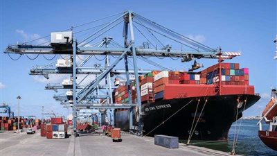 ميناء دمياط يستقبل 37 سفينة على الأرصفة خلال 24 ساعة