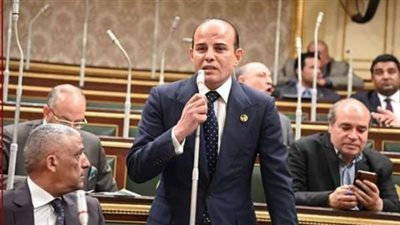 النائب عمرو القطامي: مصر استعادت مكانتها الدولية خلال السنوات الـ9