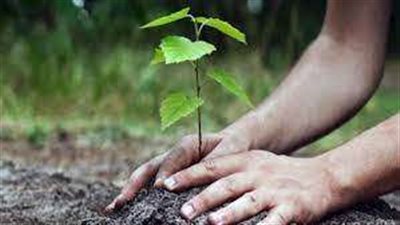 أزرع شجرة.. مؤسسة تحول مقلب قمامة إلى منطقة خضراء بالقاهرة.. فيديو