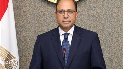 الخارجية : مصر وضعت استراتيجية لمكافحة الإرهاب العالم يتبعها|فيديو