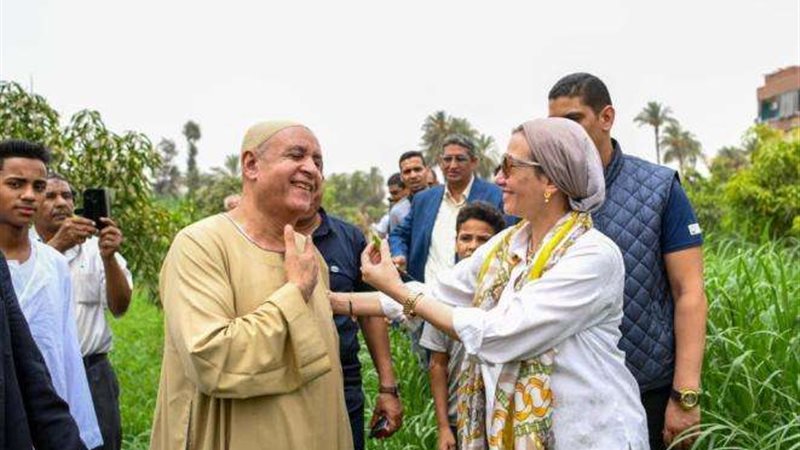 الدكتورة ياسمين فؤاد