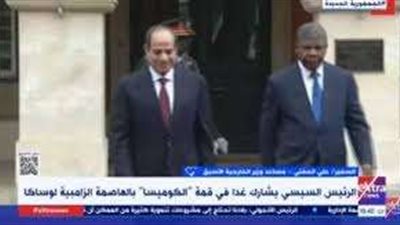 السفير صلاح حليمة: قمة 