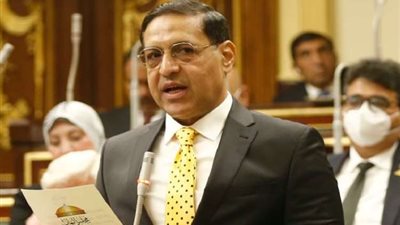 برلماني: جهود القيادة السياسية جعلت الاقتصاد المصري يتصدر مؤشر النمو في المنطقة