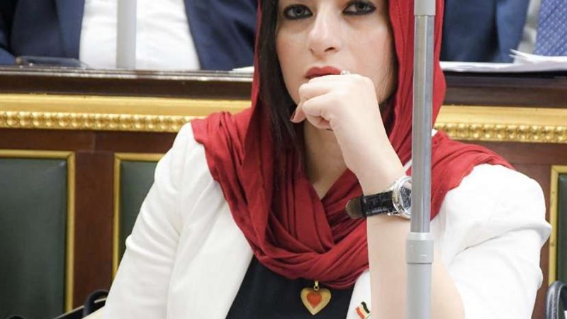 النائبة آيات الحداد