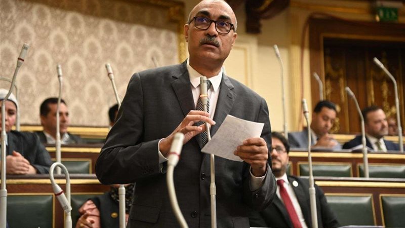 النائب إيهاب منصور