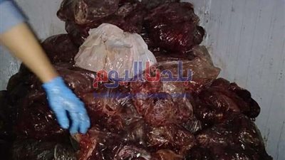 شرطة التموين تضبط أكثر من طن كبدة مجمدة غير صالحة للإستهلاك الآدمي بالشرقية