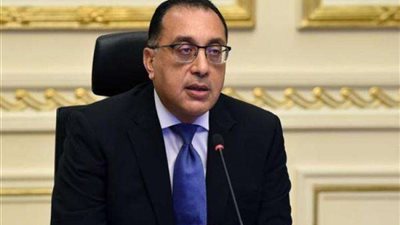 وزيري: مدبولي طلع على سقالة 18 مترًا لنقل شكر الرئيس لمرممي الآثار