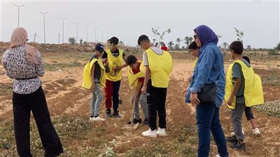 الشباب والرياضة تساهم فى إعمار سيناء بزراعة ألف شجرة زيتون