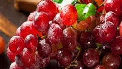 نشرة توصيات فنية لمزارعي محصول العنب