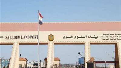 حجازي: المنطقة اللوجستية بالسلوم ستحقق لمصر قيمة مضافة كبيرة