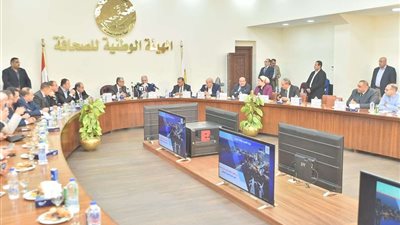 وزير الكهرباء يستعرض إنجازات القطاع في 8 سنوات | صور