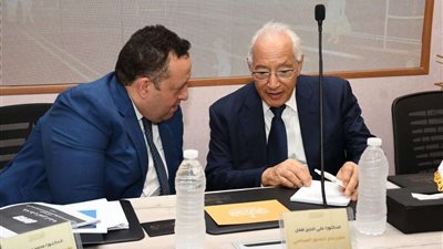 طلعت عبد القوي عن تفرغ النواب: سيؤدي لخسارة الخبرات