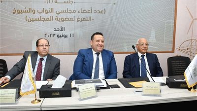 عمرو حمزاوي بالحوار الوطني: مسألة زيادة عدد أعضاء البرلمان يجب أن تنفذ في إطار مراعاة الكثافة السكانية