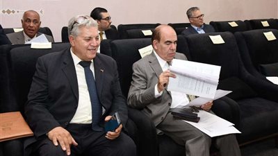 النائب ياسر الهضيبي: العدد الحالي لأعضاء مجلسي النواب والشيوخ مناسب وكافي