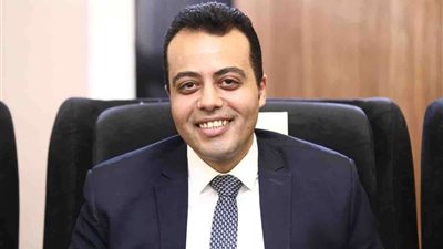 محمد السيد الشاذلى: الحوار الوطنى فرصة سانحة لخروج قانون حرية تداول المعلومات للنور