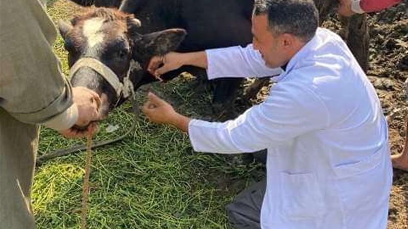 مديرية الطب البيطري