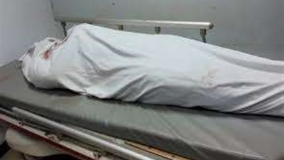 حل لغز العثور على جثة متعفنة داخل شقتها بكرداسة