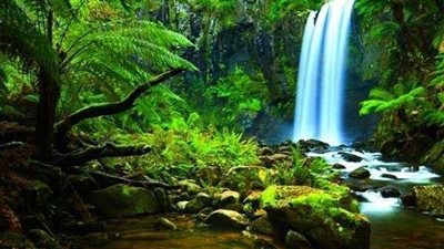 مخلوق غريب يظهر في أحد الحقول يثير الرعب