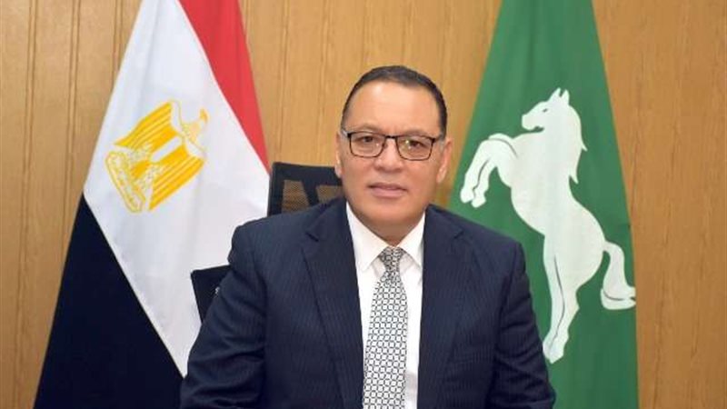 محافظ الشرقيه