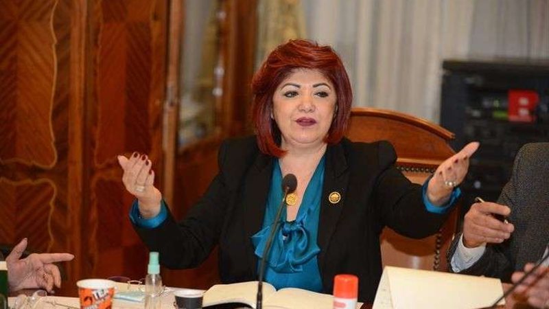 النائبة نورا علي