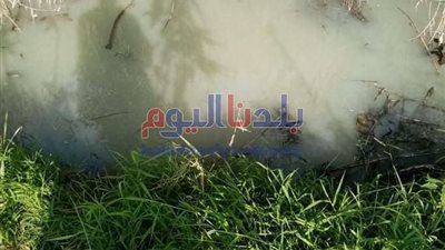 زراعة المنوفية: تطهير 26 كيلو من المساقي الخصوصية خلال شهر فبراير