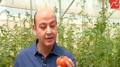 عمرو أديب يعلن غضبه على الهواء.. 