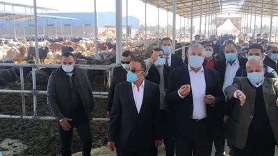 وزير الزراعة يفتتح مزرعة الإنتاج الحيواني بالنوبارية