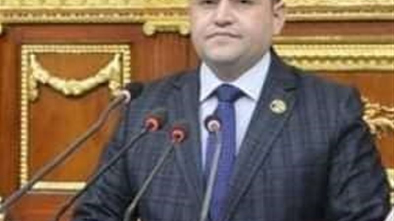 النائب شحاته أبو