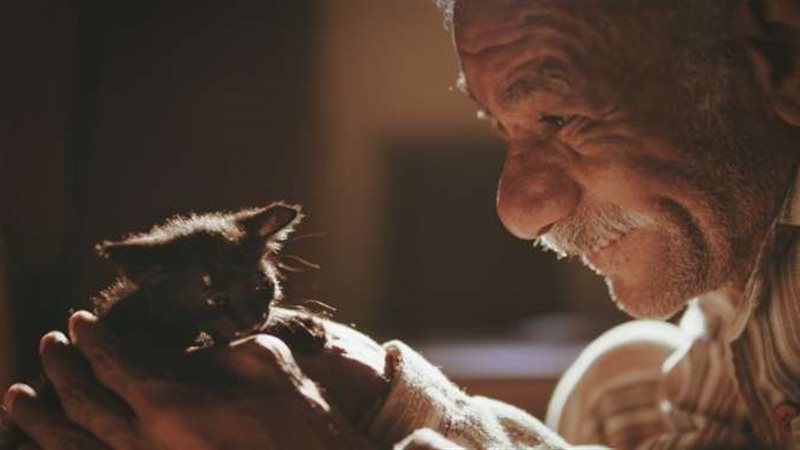 صورة من فيلم "19ب"