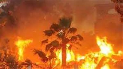 السيطرة على حريق بحديقة فيلا مهجورة بالمنصورة