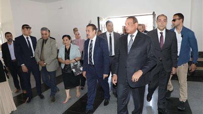 محافظ المنوفية ووزير التنمية المحلية يتفقدان مشروعات المبادرة الرئاسية 