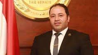 برلماني: تثبيت سعر الدولار يعتبر أمن قومي