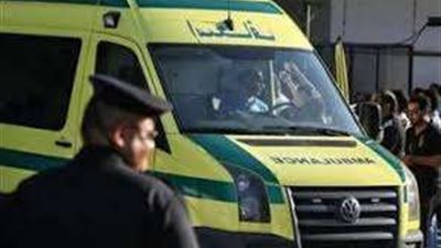 مصرع طفل صدمته سيارة أثناء عبوره الطريق الصحراوى بالبحيرة