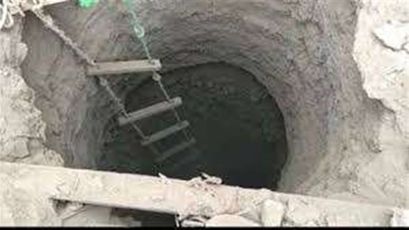 صوره ارشيفيه